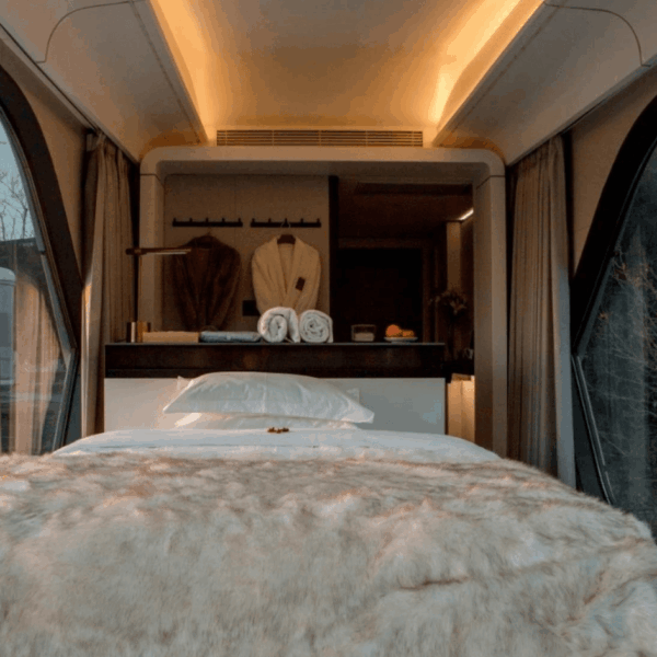 customized space capsule house